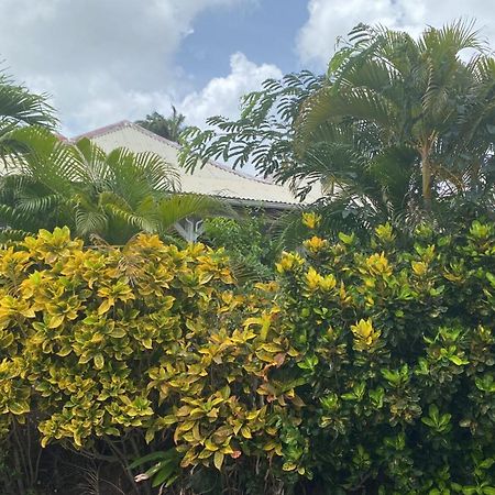 Bungalow Belfond Plage Pointe Marin Sainte-Anne Esterno foto
