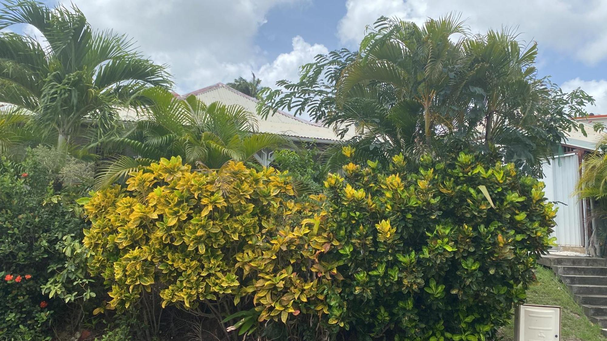 Bungalow Belfond Plage Pointe Marin Sainte-Anne Esterno foto